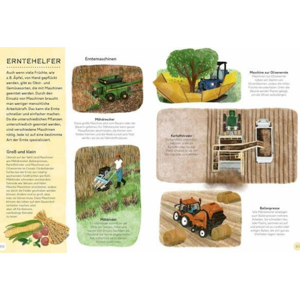 Vom Feld auf den Teller | Knesebeck | Kinderbuch