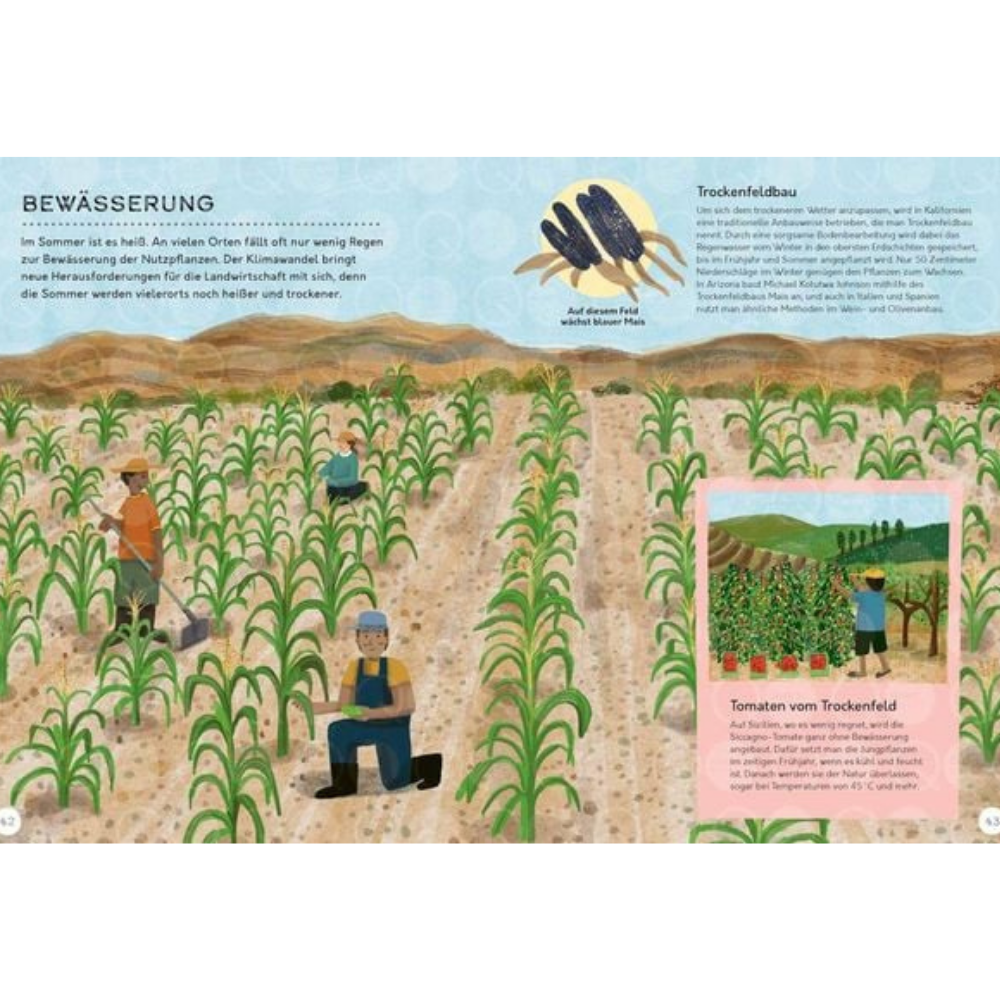 Vom Feld auf den Teller | Knesebeck | Kinderbuch