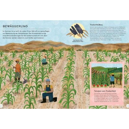 Vom Feld auf den Teller | Knesebeck | Kinderbuch
