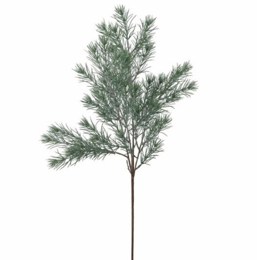 Pine | Bloomingville | Deko-Stiel | 2 Varianten
