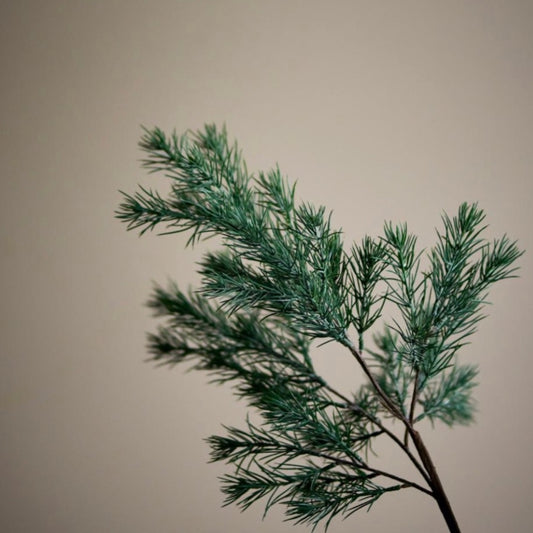 Pine | Bloomingville | Deko-Stiel | 2 Varianten