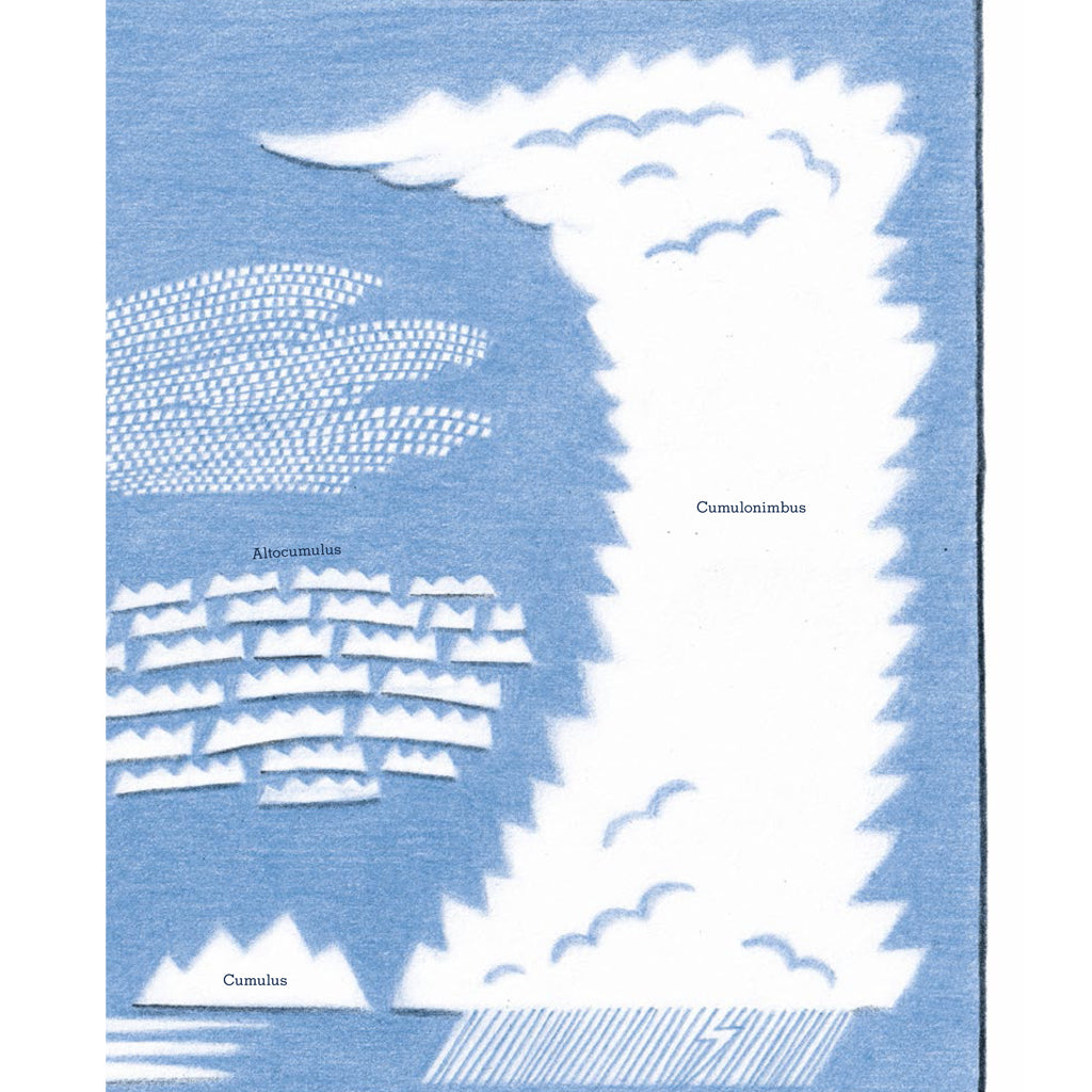 Alles über Wolken | Prestel | Sachbuch