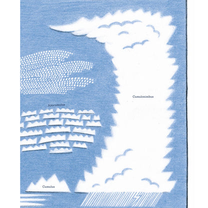 Alles über Wolken | Prestel | Sachbuch