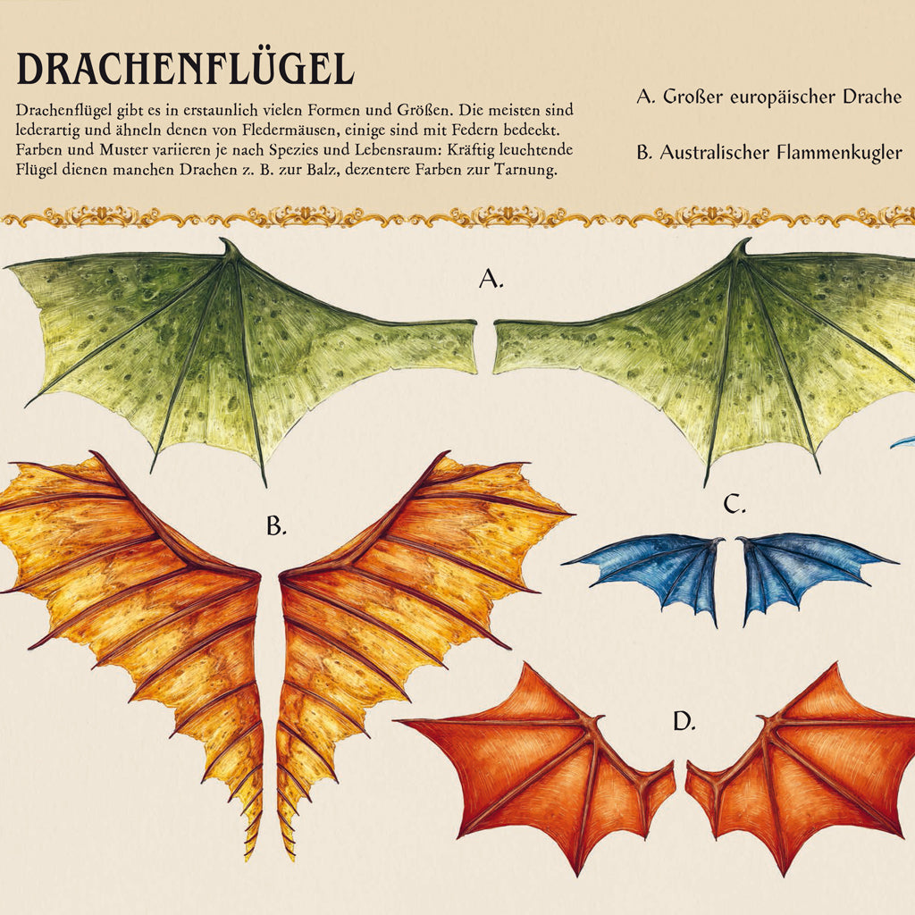 Das große Handbuch der Drachen | Prestel | Jugendbuch