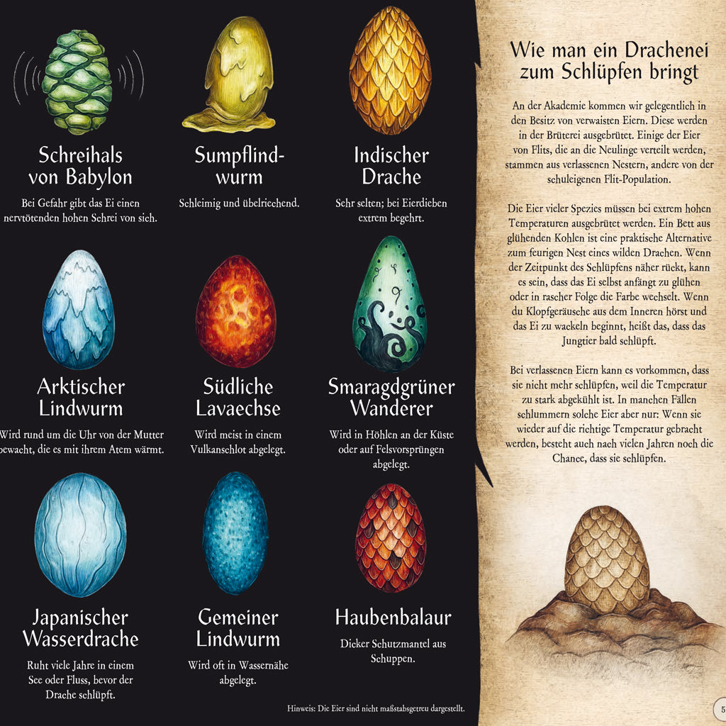 Das große Handbuch der Drachen | Prestel | Jugendbuch