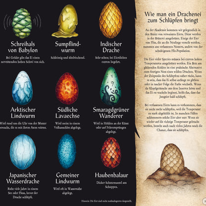 Das große Handbuch der Drachen | Prestel | Jugendbuch