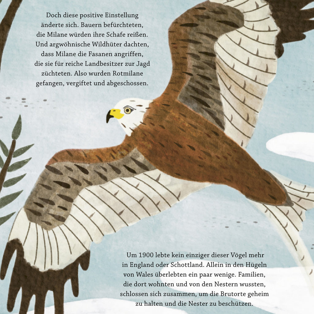 Die Rettung der Buckelwale | Prestel | Kinderbuch