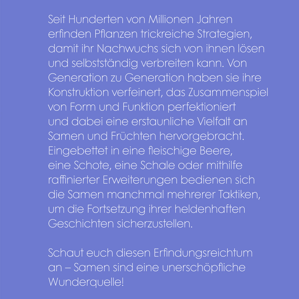 Samen | Prestel | Sachbuch
