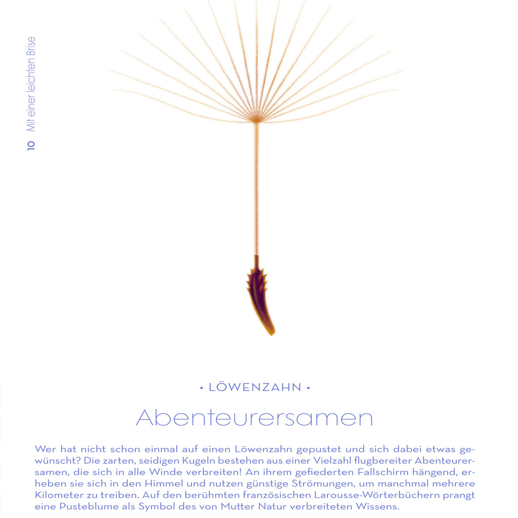 Samen | Prestel | Sachbuch