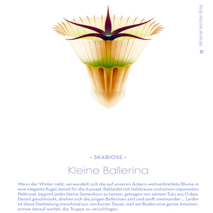 Samen | Prestel | Sachbuch