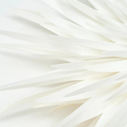 Stern DUST | off white House Doctor