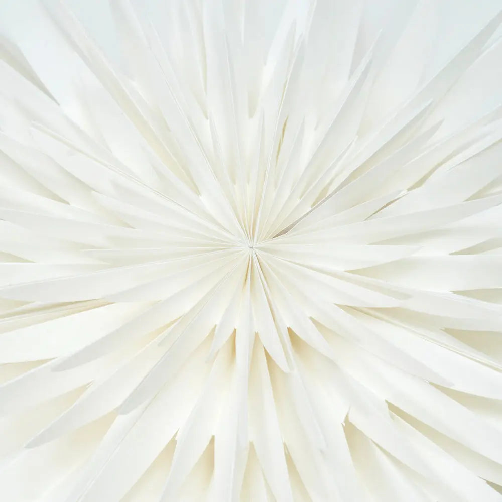 Stern DUST | off white House Doctor