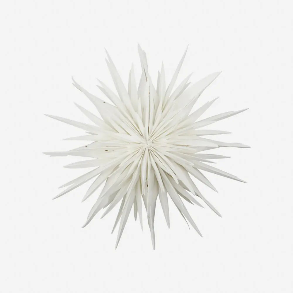 Stern DUST | off white House Doctor