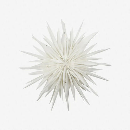 Stern DUST | off white House Doctor