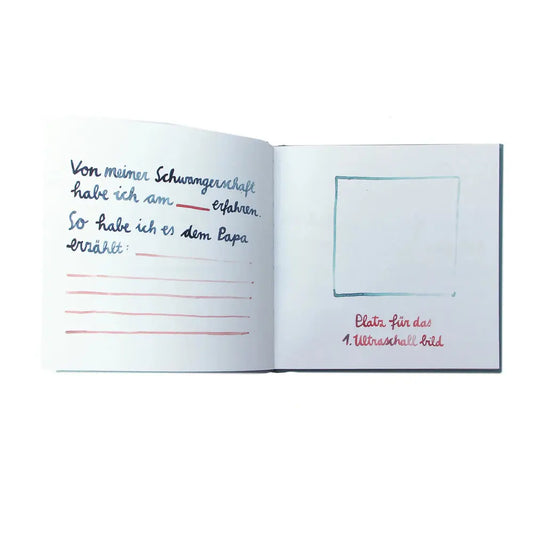 Tagebuch Meine Schwangerschaft Gretas Schwester