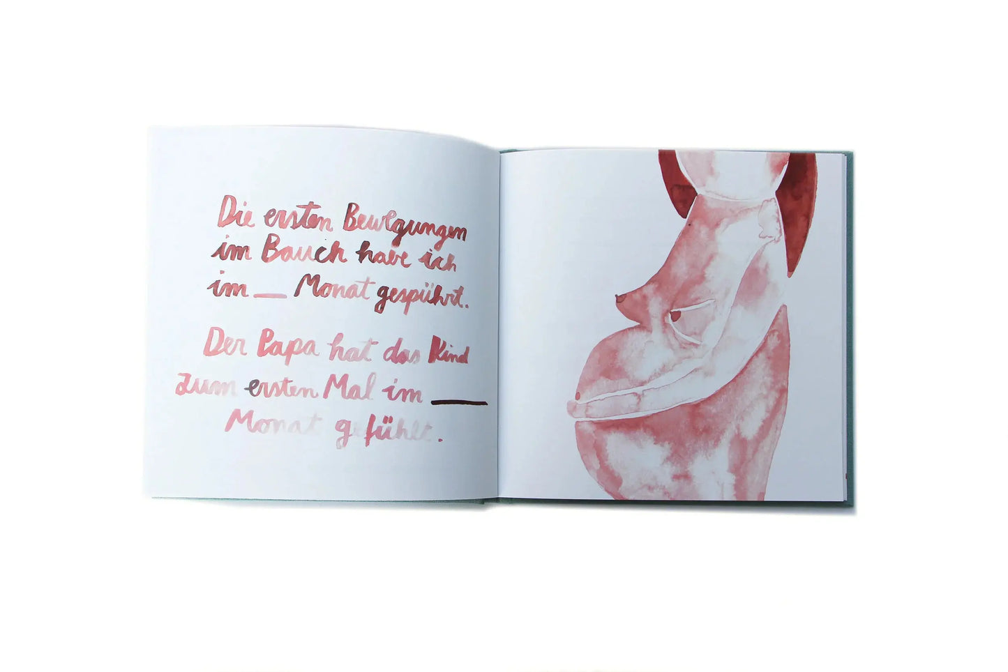 Tagebuch Meine Schwangerschaft Gretas Schwester