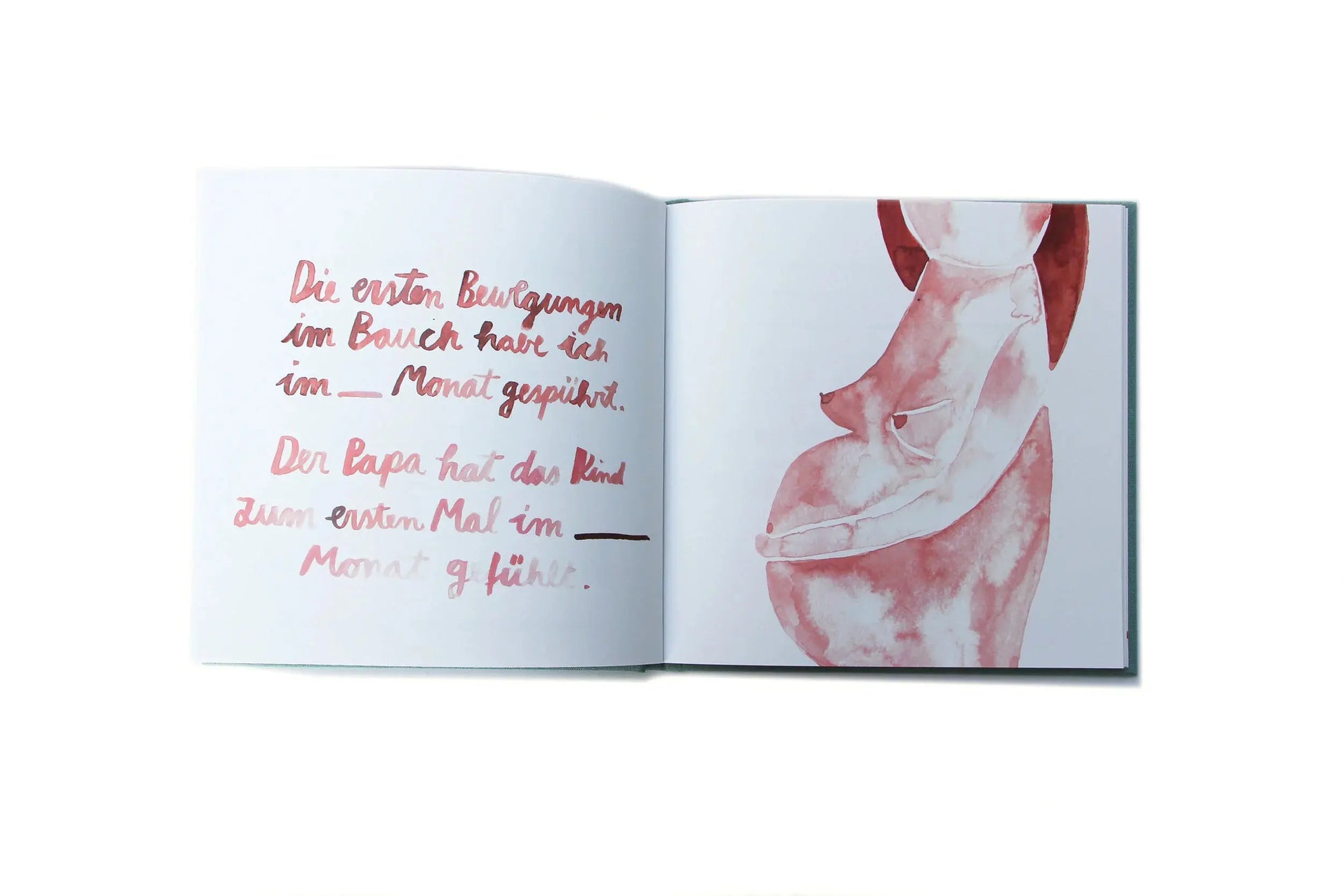 Tagebuch Meine Schwangerschaft Gretas Schwester