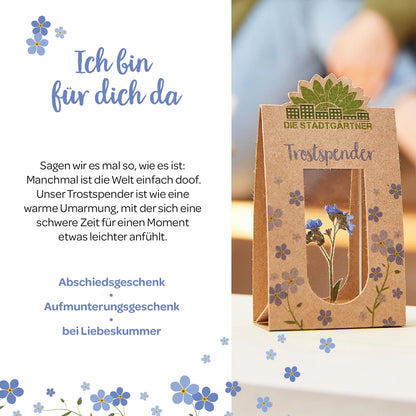 Echtes Vergissmeinnicht | Die Stadtgärtner | Trostspender
