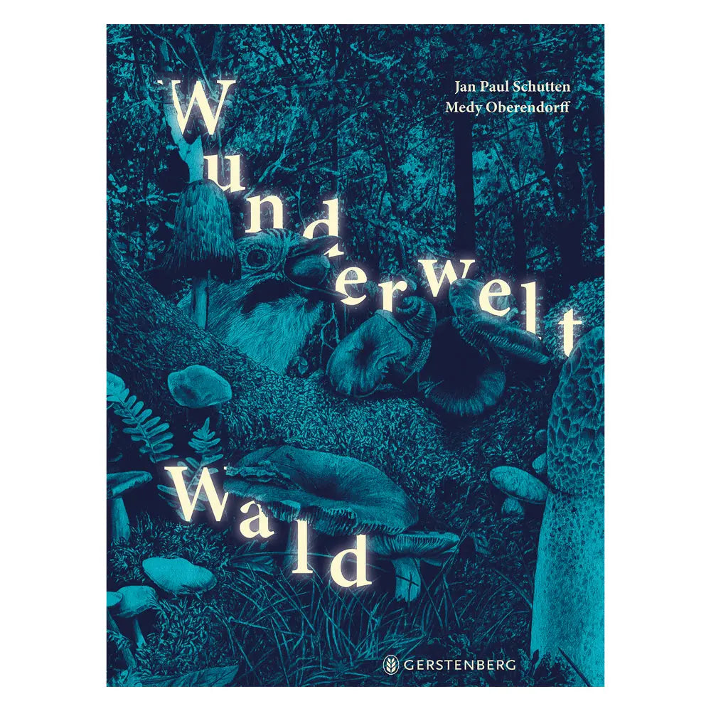 Wunderwelt Wald Gerstenberg Verlag