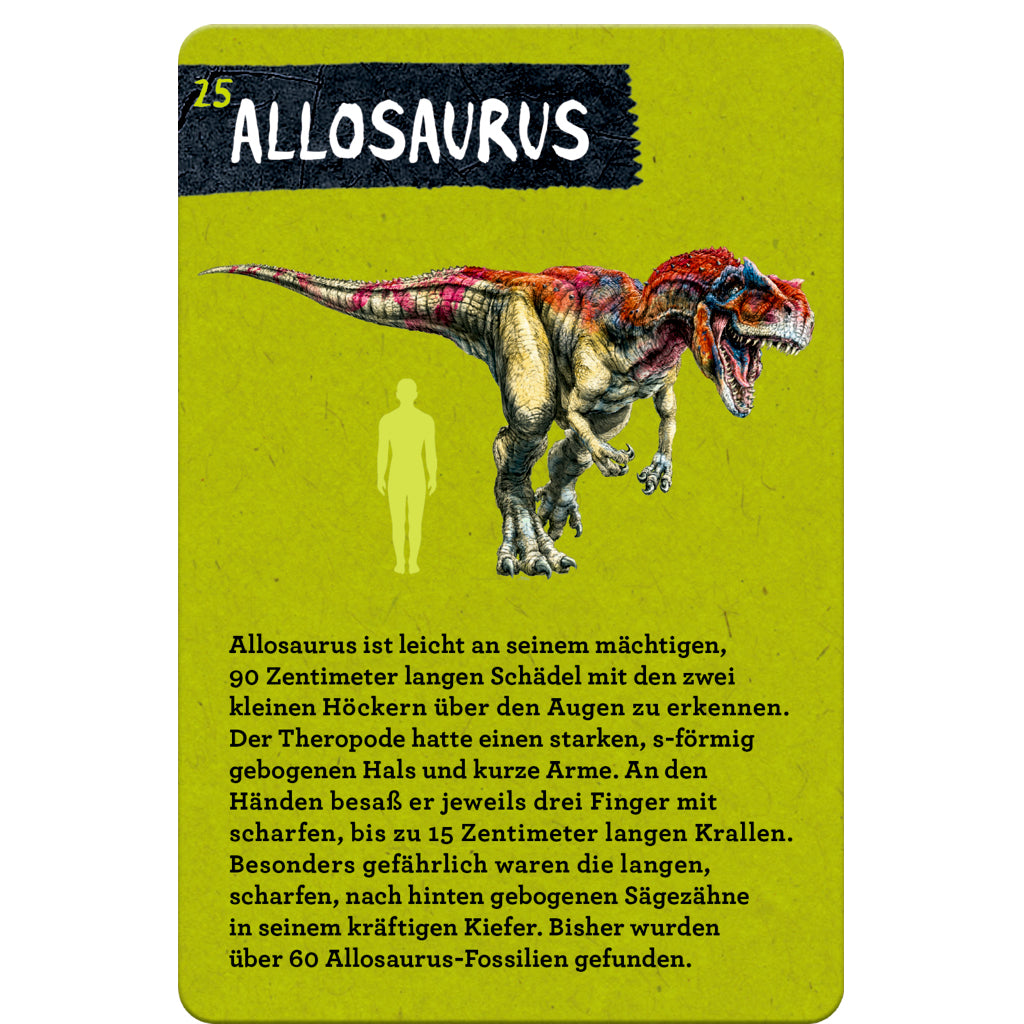 50 Dinosaurier | Coppenrath | Kartenset