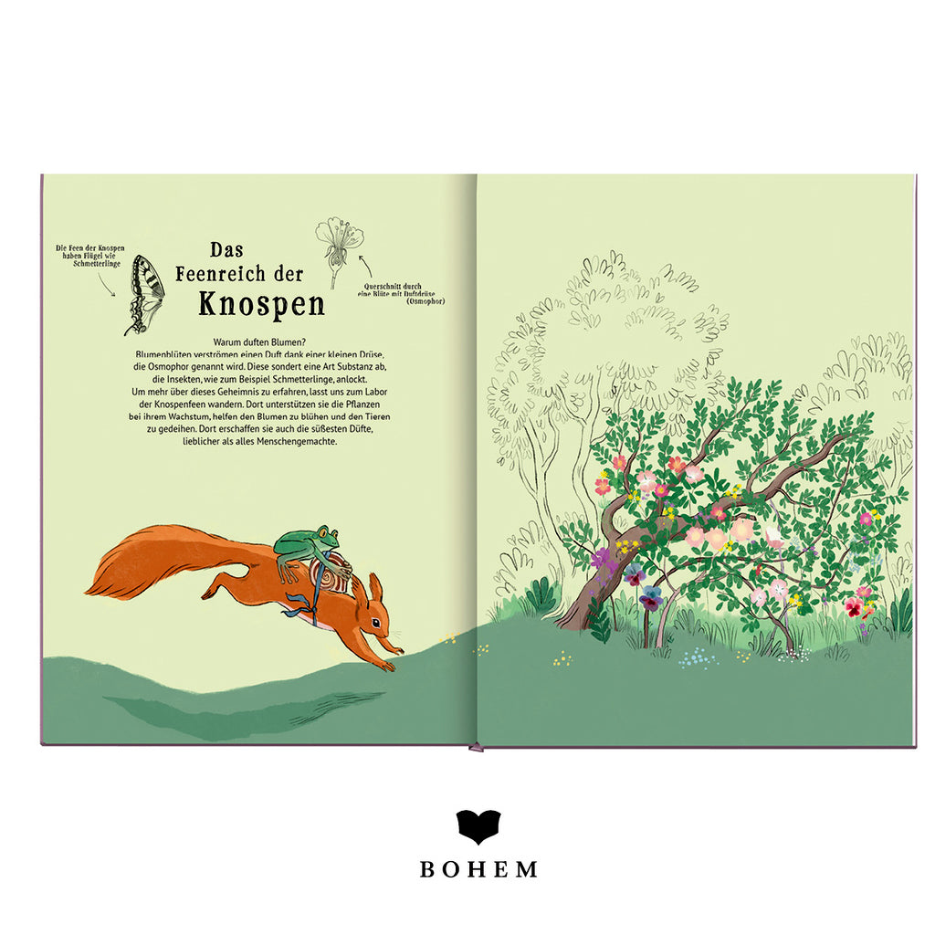 Das schönste Feenreich | BOHEM | Kinderbuch