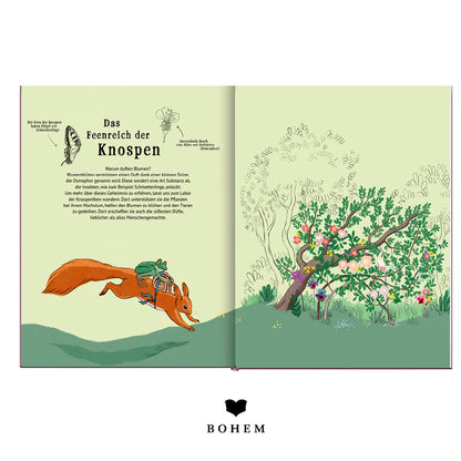 Das schönste Feenreich | BOHEM | Kinderbuch