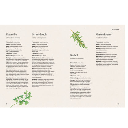 Unsere kreative Kräuterküche | Hölker Verlag | Kochbuch