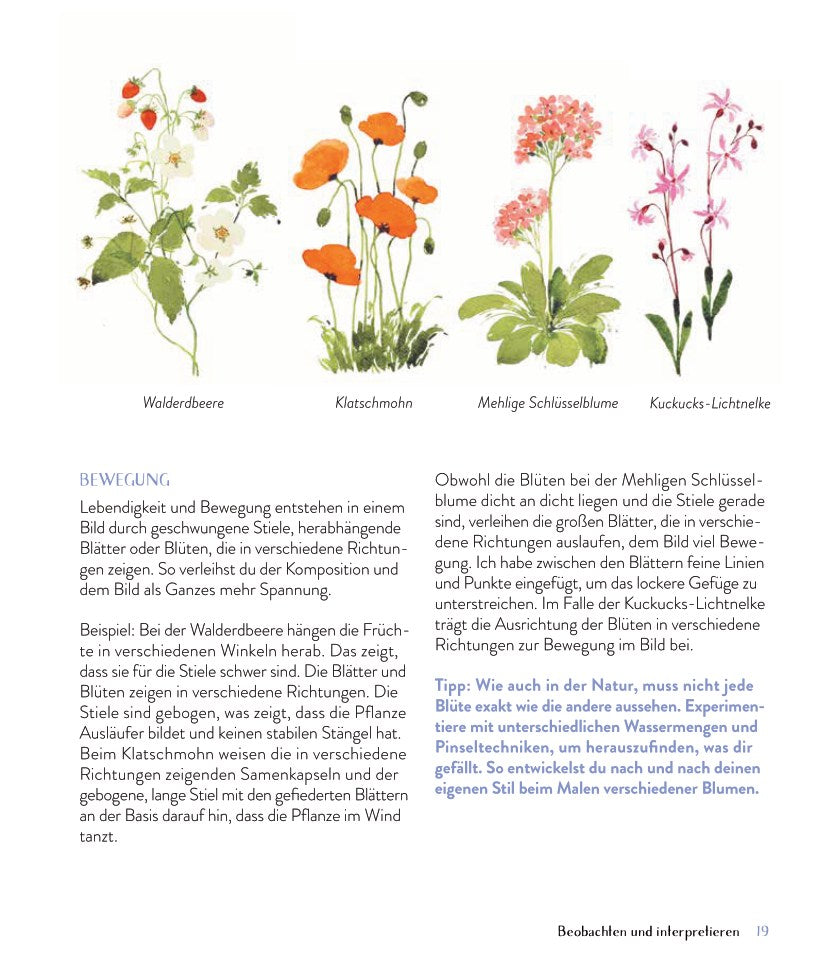 Wildflower Watercolor – Blumen Aquarelle malen | EMF | Kreativbuch