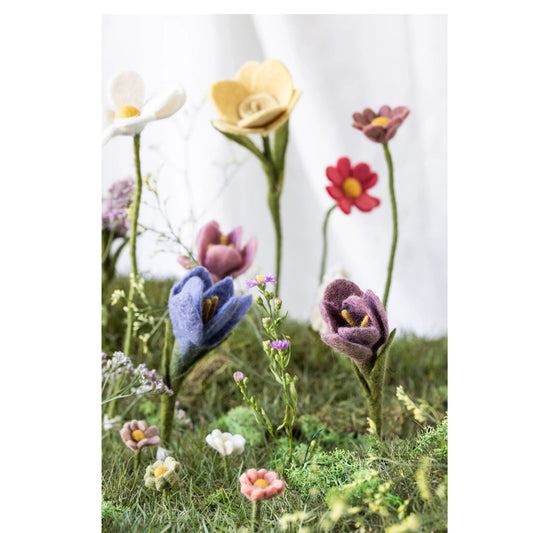 Crocus | Filzblume | 2 Varianten