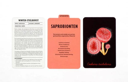 Das Pilz-Kompendium | Laurence King| Memo Kartenspiel
