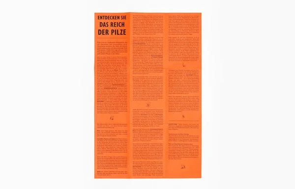 Das Pilz-Kompendium | Laurence King| Memo Kartenspiel