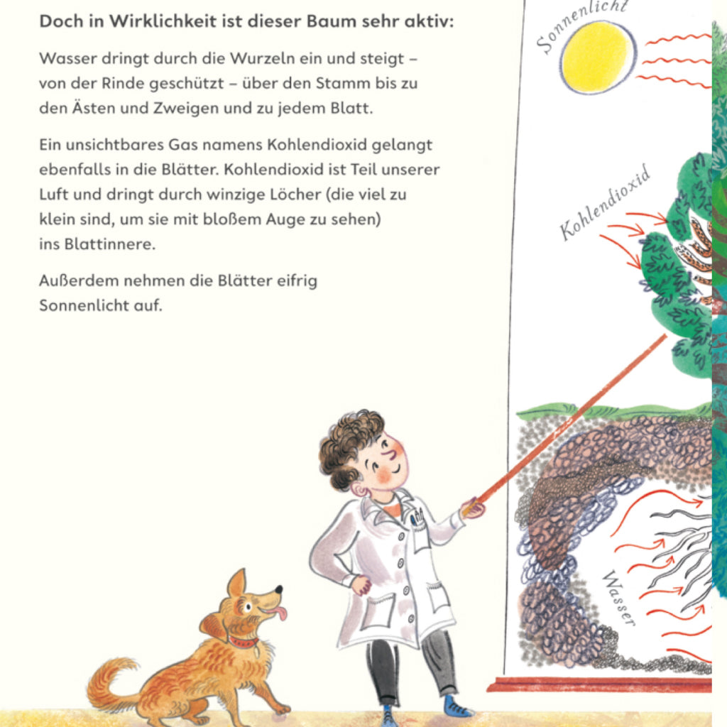 Grün | Prestel | Kindersachbuch