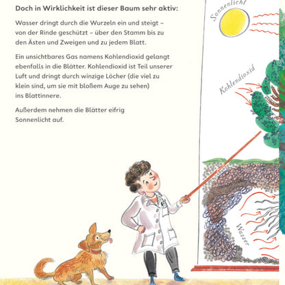 Grün | Prestel | Kindersachbuch