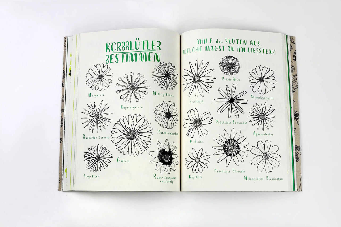 Mein Naturbuch - Zeichnen, ausmalen und gestalten ... - Feder&Konfetti Store