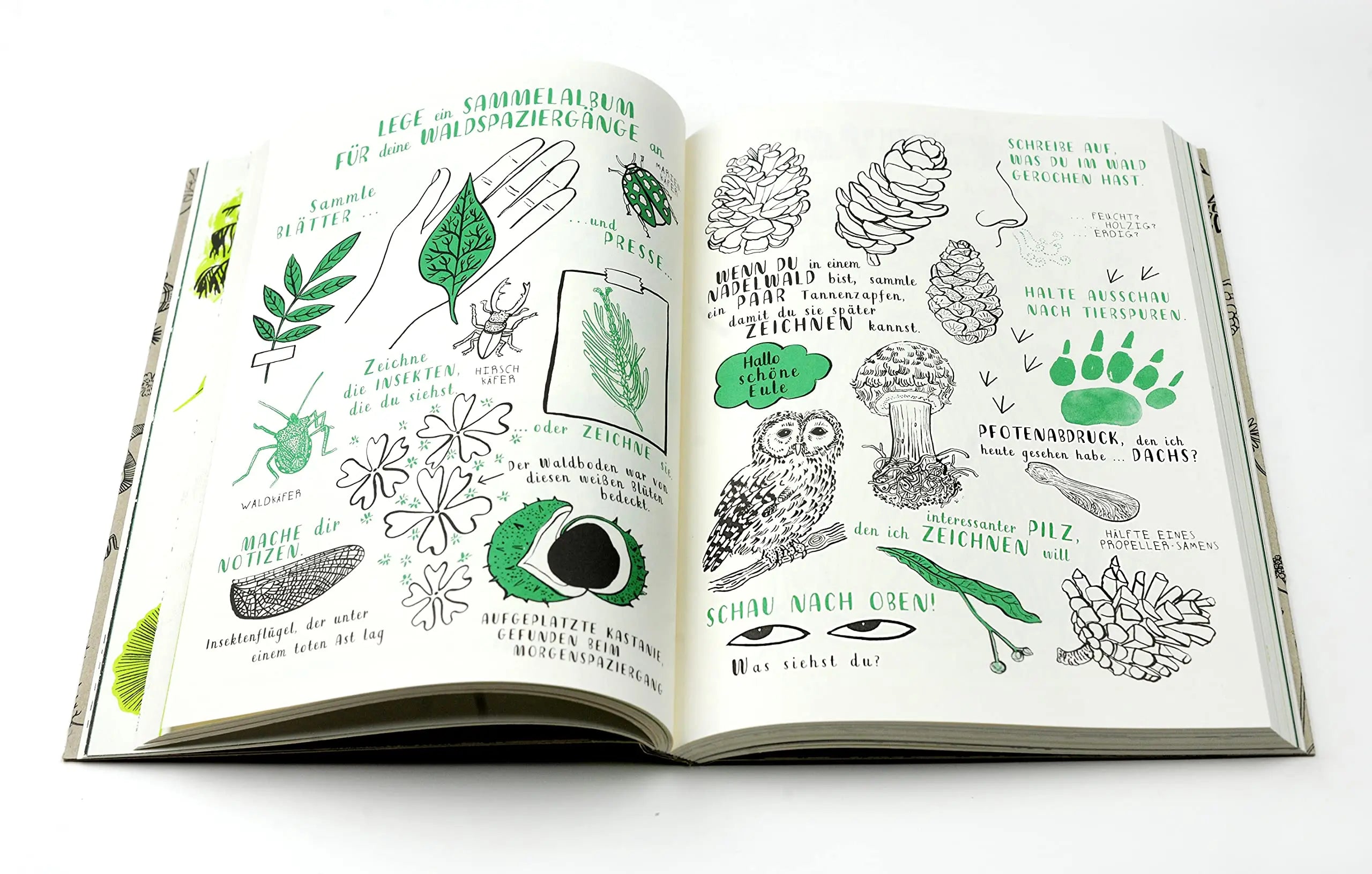 Mein Naturbuch - Zeichnen, ausmalen und gestalten ... - Feder&Konfetti Store