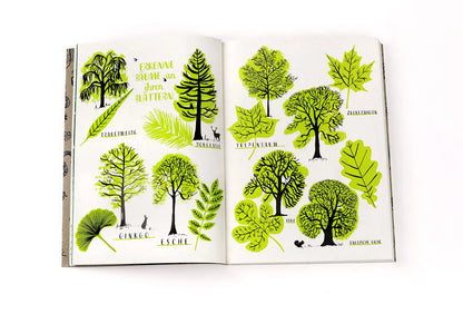 Mein Naturbuch - Zeichnen, ausmalen und gestalten ... - Feder&Konfetti Store