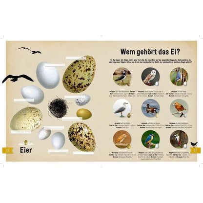 Natur - Entdecken - Verstehen - Mitmachen - Feder&Konfetti Store