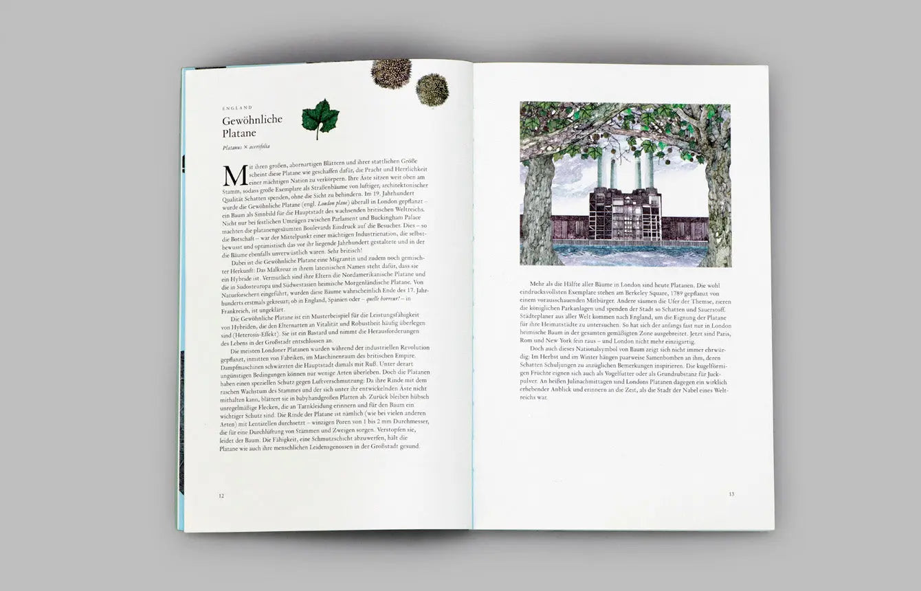 In 80 Bäumen um die Welt - Feder&Konfetti Store