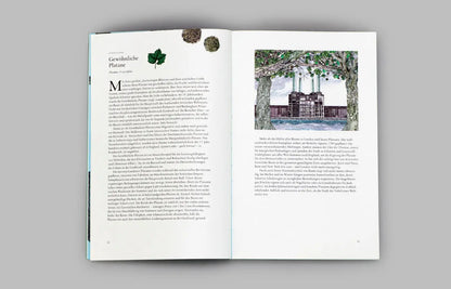 In 80 Bäumen um die Welt - Feder&Konfetti Store