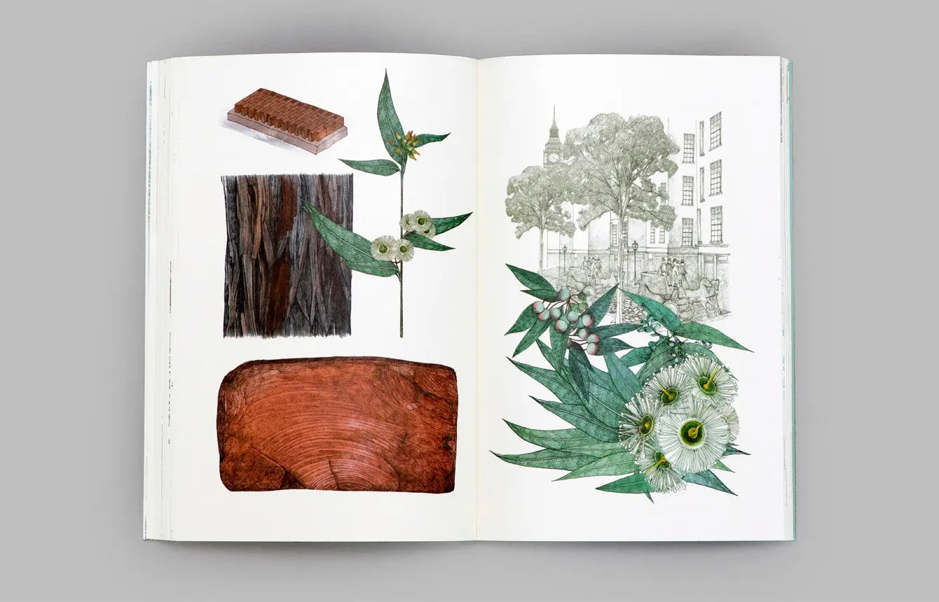 In 80 Bäumen um die Welt - Feder&Konfetti Store