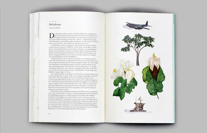 In 80 Bäumen um die Welt - Feder&Konfetti Store